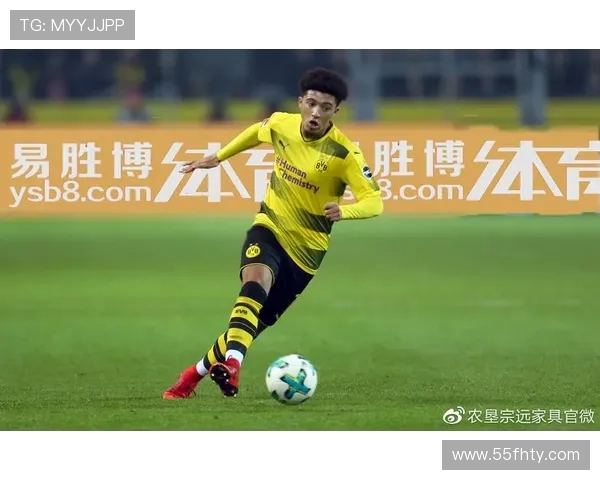 ysb体育官网最新动态：何时进行系统更新？